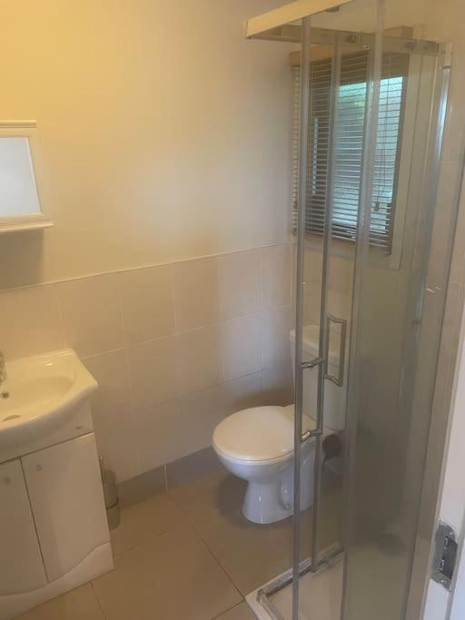 אניסקרי Self Catering Apartment At Beechwalk House. מראה חיצוני תמונה